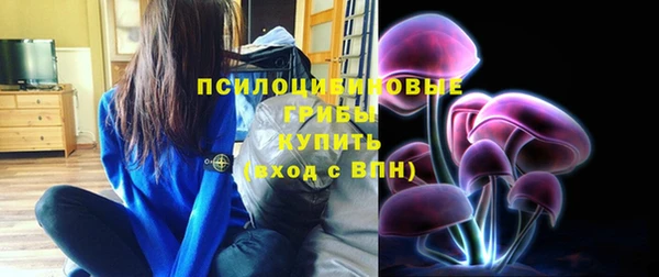 герыч Тихвин