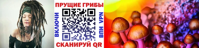 Псилоцибиновые грибы мицелий  Мариинск 