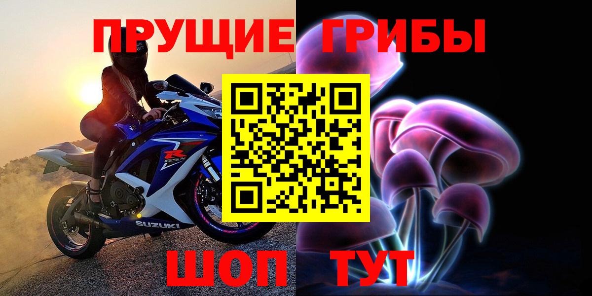 Галлюциногенные грибы Cubensis Мариинск